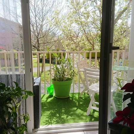 Apartment Cosy A Avec Piscine Partagee 65 M² Dax